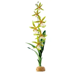 Exo Terra Rainforest Ground Plants Spinnen Ochidee, 6.5x45x5cm (1 Stk)