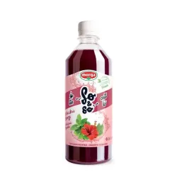 so&so Hibiskus-Minze Konz mit Stevia Fl 5 dl