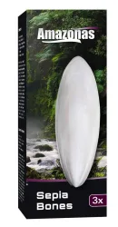 Amazonas Sepiaschale (3 Stk)