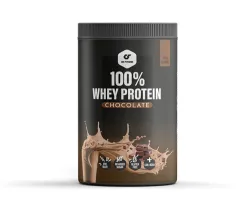 GO FITNESS 100% Whey Protein Chocolate (400g)
