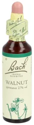 BACH-BL&Uuml;TEN Original Walnut No33 20 ml