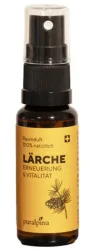 puralpina Raumduft Lärche (30ml)