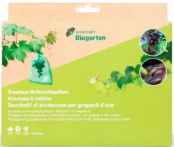 Andermatt Biogarten Trauben-Schutztaschen 20x30cm (50 Stk)