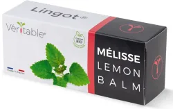 VÉRITABLE Lingot Gemüsegarten Lemon Balm Grün