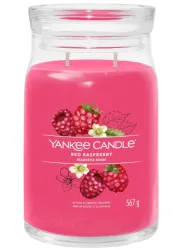 Yankee Candle Signature - Duftkerze im Glas, 567G, Rubin
