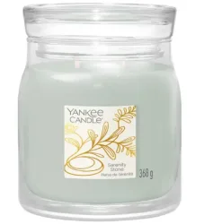 Yankee Candle - Duftkerze im Glas, 368 g, Mint