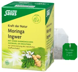 Salus Moringa Ingwer Bio Tee (15 Stk)