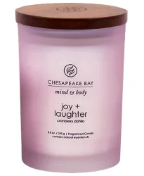 Chesapeake Bay Candle Joy & Laughter Duftkerze (250g)