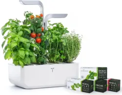 VÉRITABLE SMART Indoor-Gemüsegarten Weiss