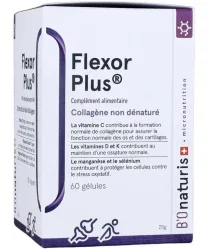 BIOnaturis Flexor Plus Kapseln (60 Stk)