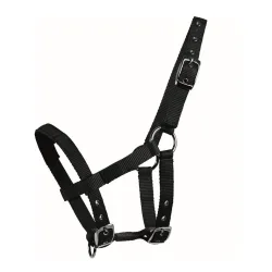 Waldhausen Mini-Shetty Halfter - schwarz