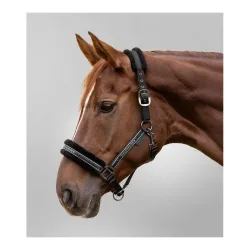 Waldhausen Halfter Elegant - Schwarz/Schwarz -  Grösse: WB
