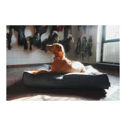 Eskadron, Eskadron Hundebett CHESTER Anthra Checked