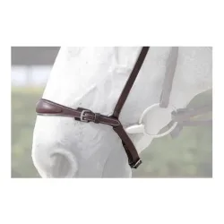 Dy'on Reithalfter hannoveranisch New Englisch - braun Farbe: Braun, Grösse Zaum: Full