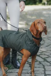 Eskadron Hunde Regenmantel Rainshield HUNTER Olive
