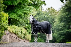 Horseware Weidedecke mit Halsteil Amigo 12 Plus 250g - Black/Titanium Grey & Silver -  Grösse Pferdedecke: 140 cm