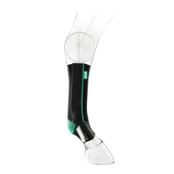 EquiCrown Kompressionsbandage active - hinten, Reissverschluss - grün - Schwarz/Grün -  Equicrown Kompressionsbandagen: links, kurz, 3