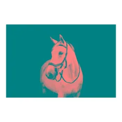 Horseware Zaum Micklem Multi - Schwarz -  Grösse Pferd: Full