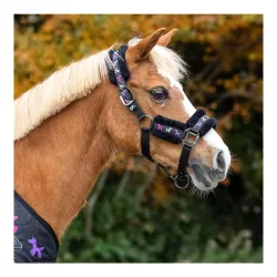 QHP Halfter-Set Isalyn Unicorn Dream