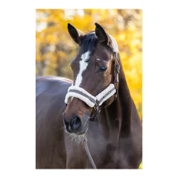 Covalliero Halfter Soft H/W 2026 Milky Chocolate