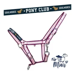 Soulhorse Halfter Shetty & Mini 