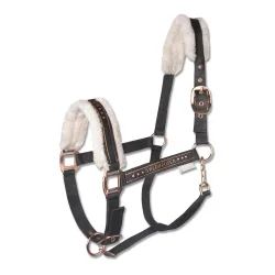 Waldhausen Halfter Elegant - Schwarz/Roségold -  Grösse Pferd: Pony, Farbe: Schwarz/Roségold
