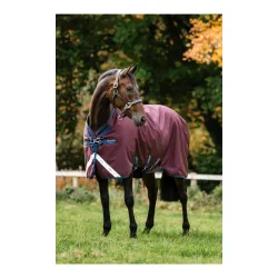 Horseware Weidedecke Amigo 1200D Turnout 50g Burgundy/Navy & Titanium Grey