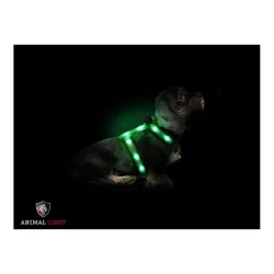 Animal Light Leucht - Hundegeschirr 