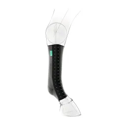 EquiCrown Kompressionsbandage fit - vorne, Silver antibakteriell - Silber/Schwarz -  Equicrown Kompressionsbandagen: rechts, standard, 5