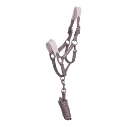 Equestro Halfter gummierte Schnallen Antler / Hushed Violet