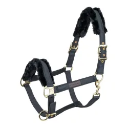 Waldhausen Halfter Exclusive - Schwarz/Schwarz -  Grösse Halfter: WB, Farbe: Schwarz/Schwarz