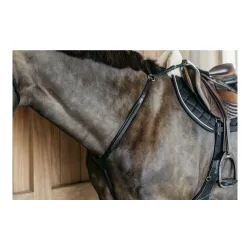Vorderzeug geflochten Working by Dy'on - Schwarz -  Grösse: Pony, Farbe: Schwarz
