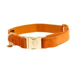 Kentucky Dogwear Hundehalsband velvet - Orange -  Farbe: Orange, Grösse Hundehalsband: S