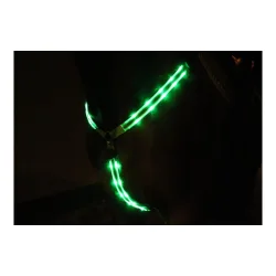 Animal Light LED Leuchtvorgeschirr 2.0 - Grün -  Farbe: Grün, Grösse Pferd: WB