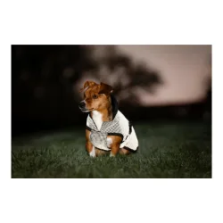 Bucas Hundedecke Refelctglow Silber