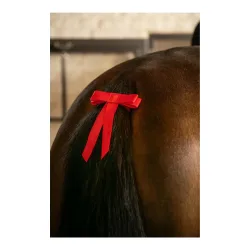 Kentucky Rote Schleife mit Klettverschluss