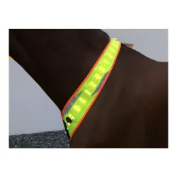 Animal Light LED Leuchthalsriemen 2.0 - Gelb -  Grösse: One Size, Farbe: Gelb