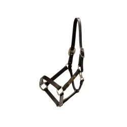 Kentucky Leder Halfter Wellington - Braun -  Grösse Pferd: Cob, Farbe: Braun