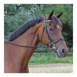 Gurtzügel Kerbl - Schwarz -  Grösse Zaum: Pony