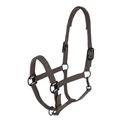 Covalliero Halfter H/W 2026 Milky Chocolate