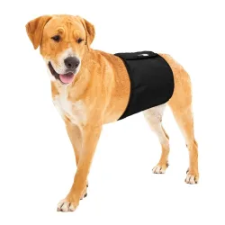 TRIXIE Rüden Hundeschutzhose - Schwarz -  Grösse: 40 x 10 cm