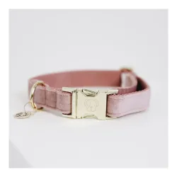 Kentucky Dogwear Hundehalsband velvet - old rose
