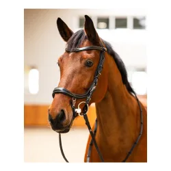 PresTeq Zaumzeug FaySport Classic - Schwarz -  Farbe: Schwarz, Grösse: Cob