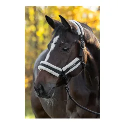 Covalliero Halfter Soft H/W 2026 Schwarz