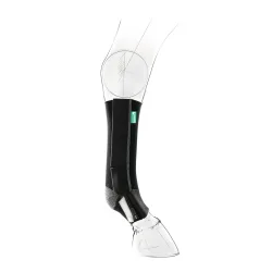 EquiCrown Kompressionsbandage active - vorne, Reissverschluss - grau - Schwarz/Grau -  Equicrown Kompressionsbandagen: rechts, kurz, 1