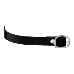 Sprenger Sporenriemen Leder mit silberner Schnalle - schwarz Grösse: One Size, Farbe: Schwarz
