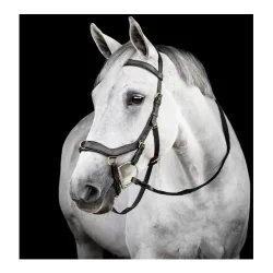 Horseware Zaum Micklem Multi - Schwarz -  Grösse Pferd: Cob