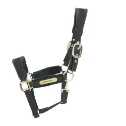 Kentucky Halfter Velvet - Schwarz -  Farbe: Schwarz, Grösse Pferd: Cob
