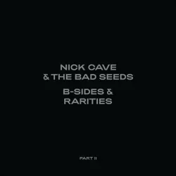 B-Sides & Rarities (Part II) (Deluxe)