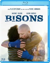 Bisons (DE)